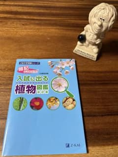 入試に出る植物図鑑 改訂版　中学受験対策のサムネイル
