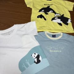 半袖Tシャツ 3枚セット 90cm 動物柄のサムネイル