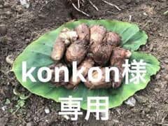 山形県産　里芋　２キロ 専用品のサムネイル