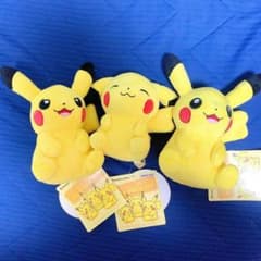 어떤 피카츄를 만날 수 있을까? My Pikachu