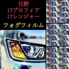 かぼちゃ様専用 観賞用 字光式ナンバープレート 日光ナンバー 2枚