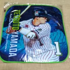 東京ヤクルトスワローズ 山田哲人のサムネイル