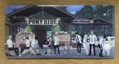 ハイキュー!! × 東武動物公園 コラボ クリアファイルのサムネイル