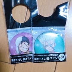 す様 Dr.STONE あさぎりゲン 石神千空 缶バッジ ローソンストア ド