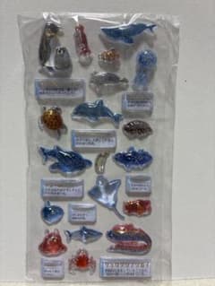 ⭐*S様 大人の図鑑　3D 海洋生物編のサムネイル