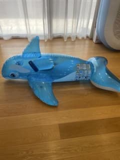 INTEX　イルカ　浮き輪　ボート　海水浴　プールのサムネイル