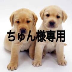 ちゅん様専用のサムネイル
