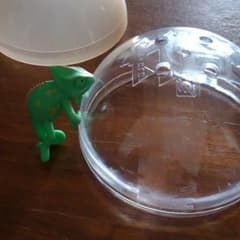 ニフレル カメレオンのサムネイル