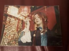 ミュージカル ピオフィオーレの晩鐘 楊 横井翔二郎 ブロマイド14枚 缶バッジのサムネイル