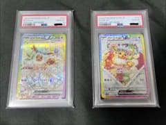 PSA10 이브이 ex 2종 연속 번호