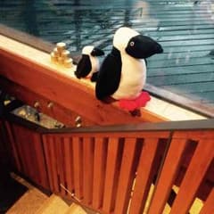 のんさん専用のサムネイル