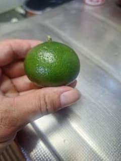 無農薬摘果みかんのサムネイル