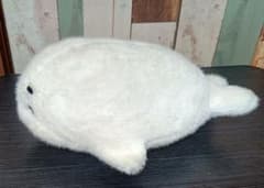 소년 아시베 참깨 봉제 인형