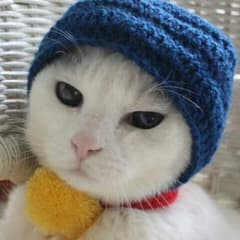 とーも様専用です！のサムネイル