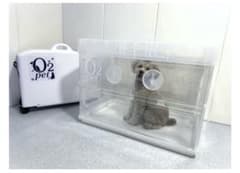 あにまるらいふ猫丸様専用のサムネイル