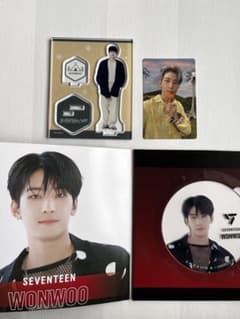 SEVENTEEN WONWOO ウォヌ　アクスタ　トレカのサムネイル