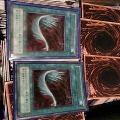 ハーピィの羽根帚２枚セットのサムネイル