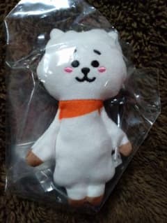 BT21 푹신푹신 마스코트 RJ