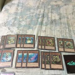 遊戯王 霊獣デッキのサムネイル
