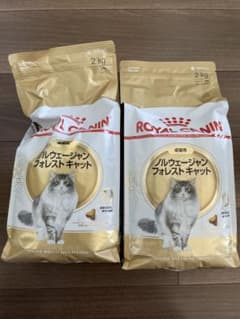 ロイヤルカナン　ノルウェージャンフォレストキャットのサムネイル
