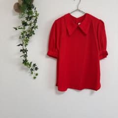 [OIAS] 칼라 첨부 반소매 블라우스 (F) 백 버튼