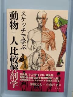 スケッチで学ぶ 動物+人比較解剖学のサムネイル