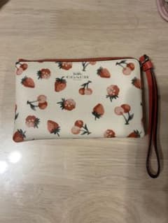 coach 小物ケースのサムネイル