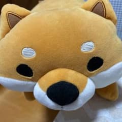 柴田さん　ぬいぐるみのサムネイル