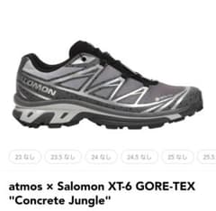 「激レア品」Salomon XT-6 GORE-TEX　27cmのサムネイル
