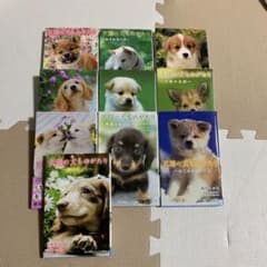 天国の犬ものがたり　10冊のサムネイル