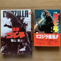 m81075145802_1.jpg?1748755921