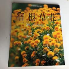 毎年花咲く宿根草花のサムネイル