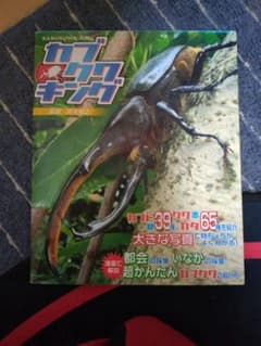 カブトムシキングのサムネイル