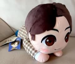 TinyTAN Jungkook 잠자는 봉제 인형