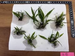 うきちゃ様 リクエスト 2点 まとめ商品のサムネイル
