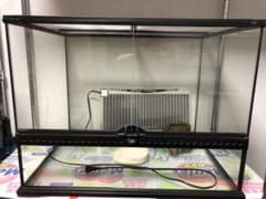 釣りキチ三平様 専用のサムネイル