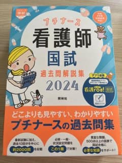 プチナース 看護師国試過去問解説集2024のサムネイル