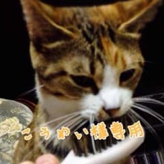 こうめい様 専用のサムネイル