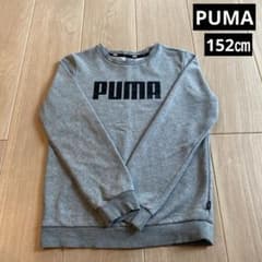 PUMA キッズ トレーナー グレー 152㎝のサムネイル