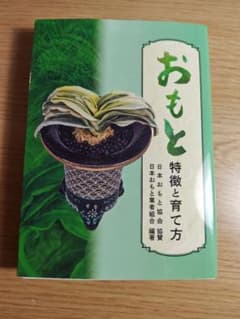 おもと 特徴と育て方のサムネイル