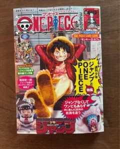 ONE PIECE magazine Vol.20 부록 카드 ​​첨부