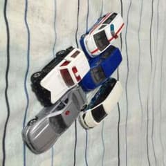 専用のサムネイル
