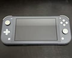 Nintendo Switch Lite グレー ケース付きのサムネイル