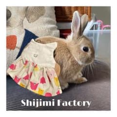 ごうくんママ様専用　うさぎ用ハーネスのサムネイル