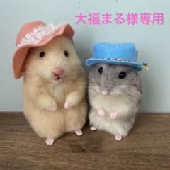 soaraさま専用 羊毛フェルト オーダー テグーマウス 羊毛フェルト】ハムスター☆オーダー（大福まる様専用） - メルカリ
