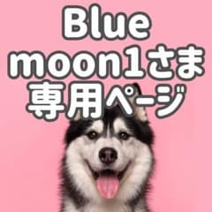 GFチキン10*2◯● Blue moon1ページ●◯ GFチキン10*2◯○ Blue moon1様専用ページ○◯ - メルカリ