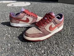ダンクロープラム　2001年のサムネイル