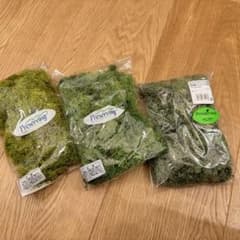 アイスランドモス、フィンランドモスセット販売のサムネイル