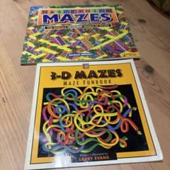 MAZES 海外本 迷路 迷路本 立体迷路 めいろ