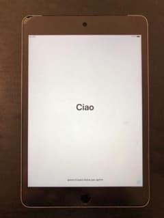 APPLE iPad mini IPAD MINI 4 SB WF+CELL …のサムネイル